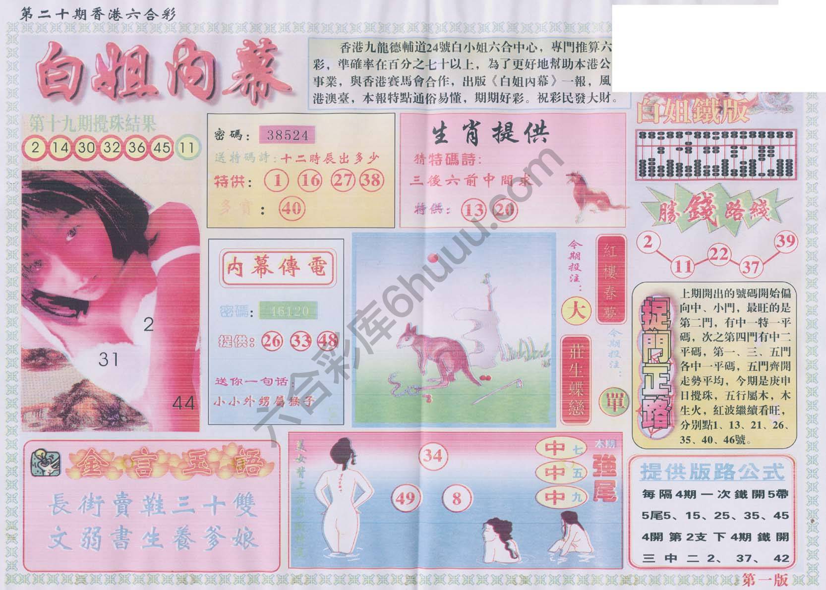 白姐内幕
