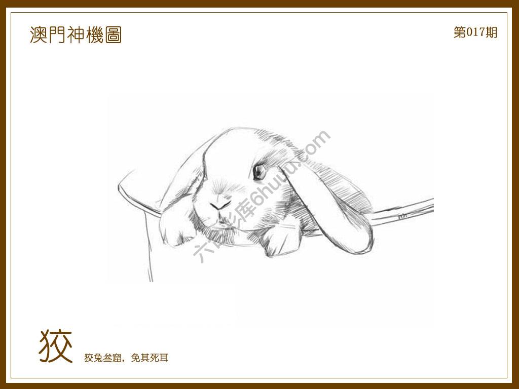 澳门神机图