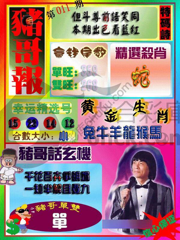 猪哥报