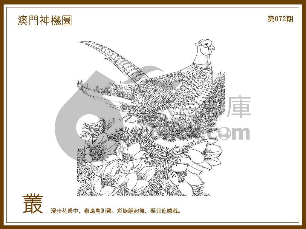 澳门神机图