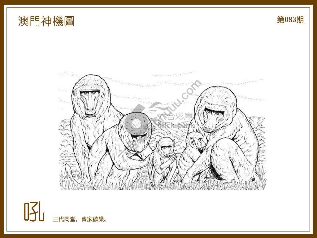 澳门神机图