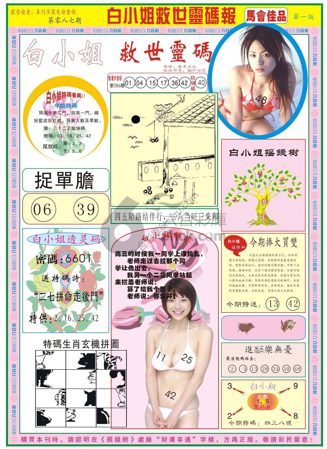 白小姐救世灵码报