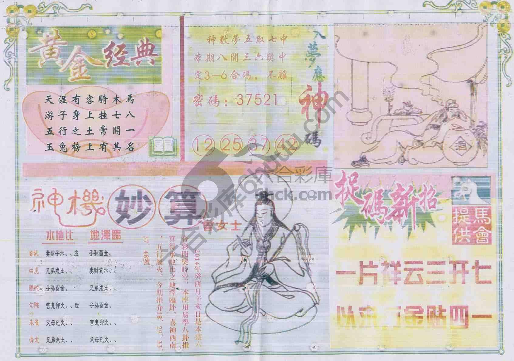 老版曾女士