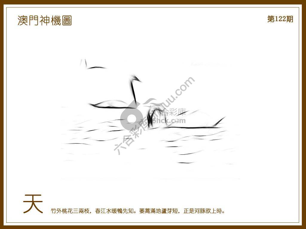 澳门神机图