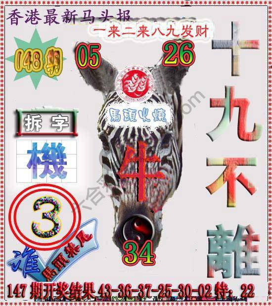香港马头报