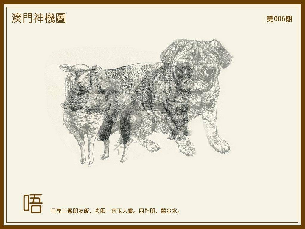 澳门神机图