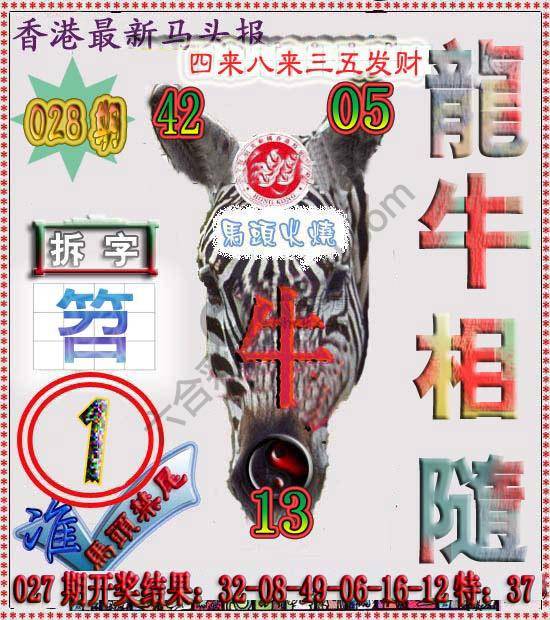 香港马头报
