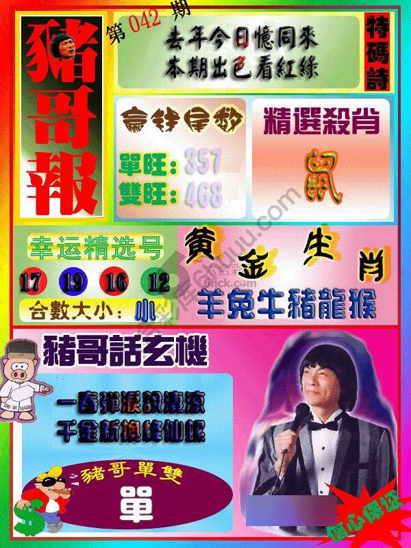 猪哥报