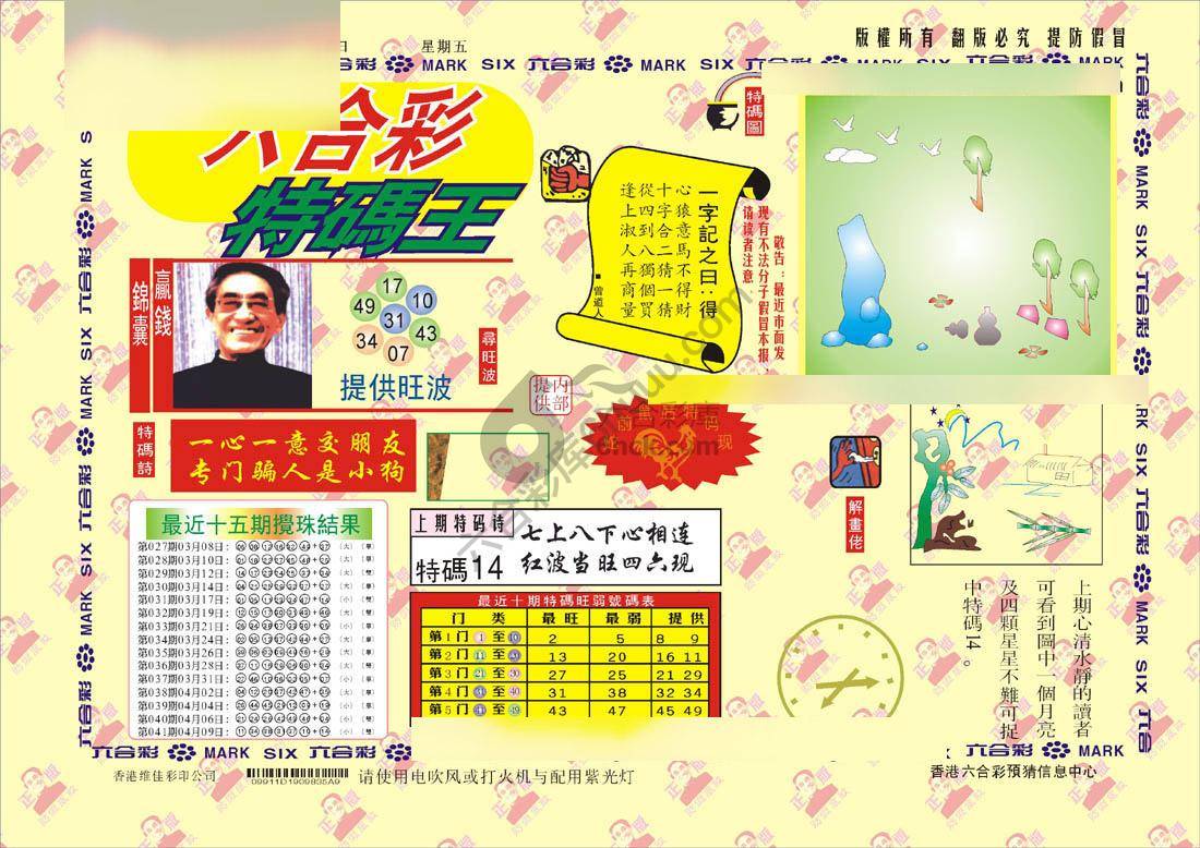 特码王