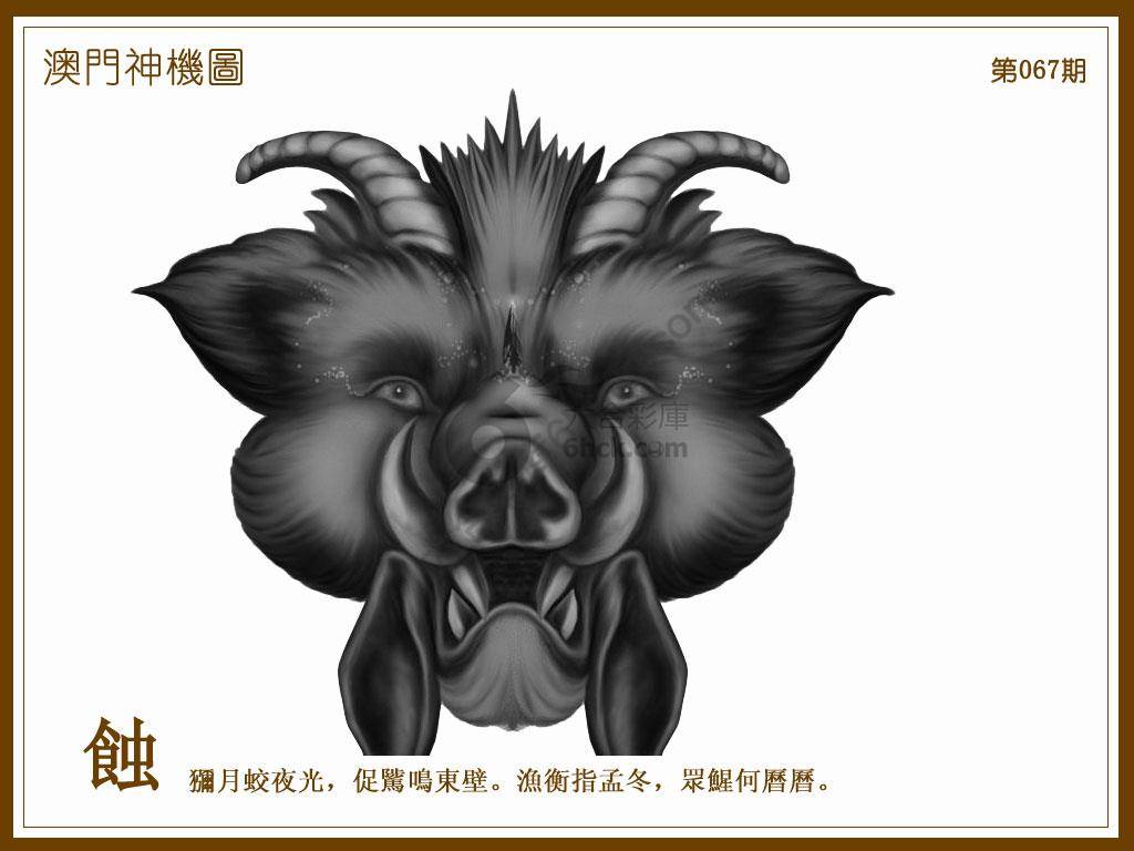 澳门神机图