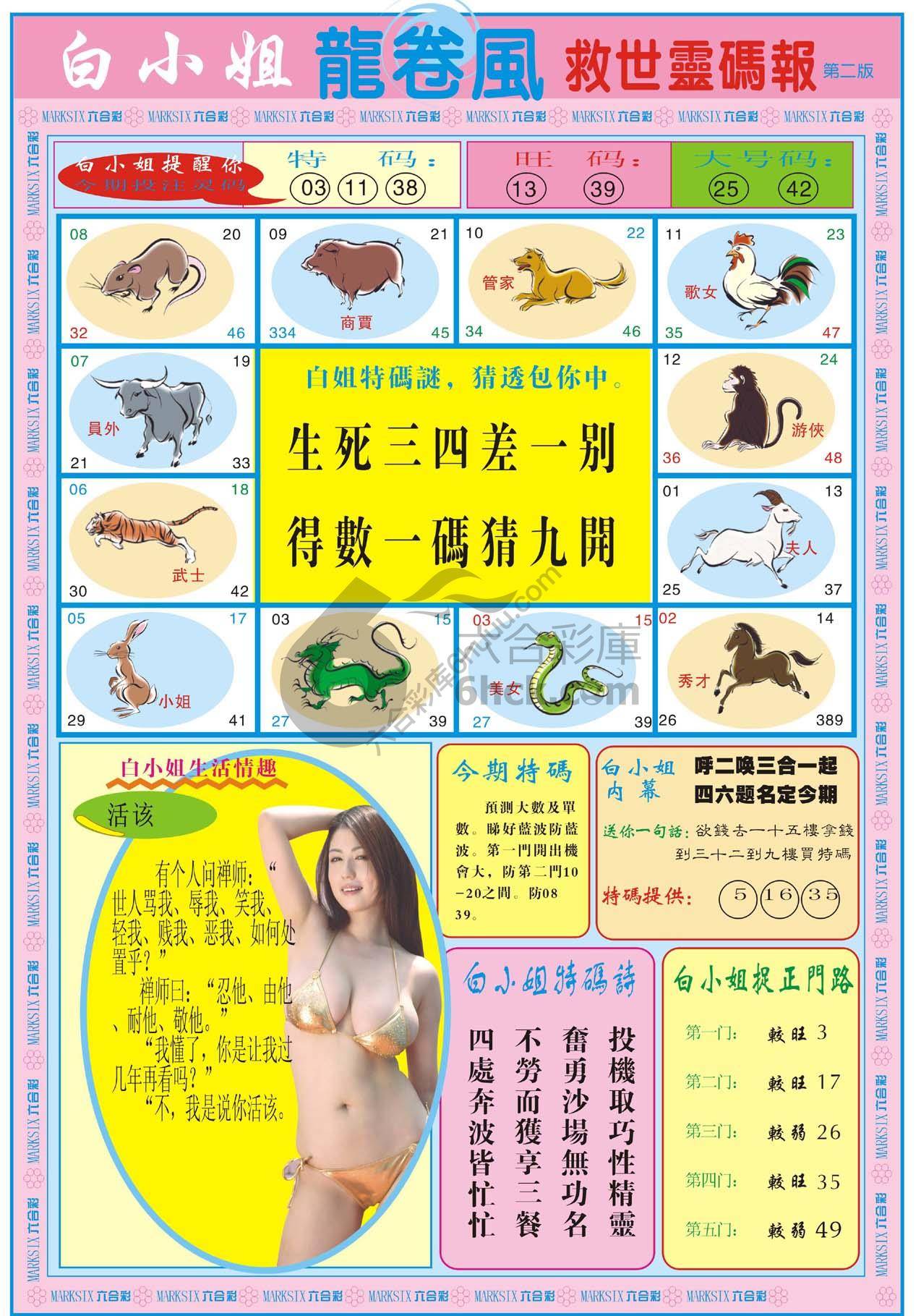 白小姐龙卷风