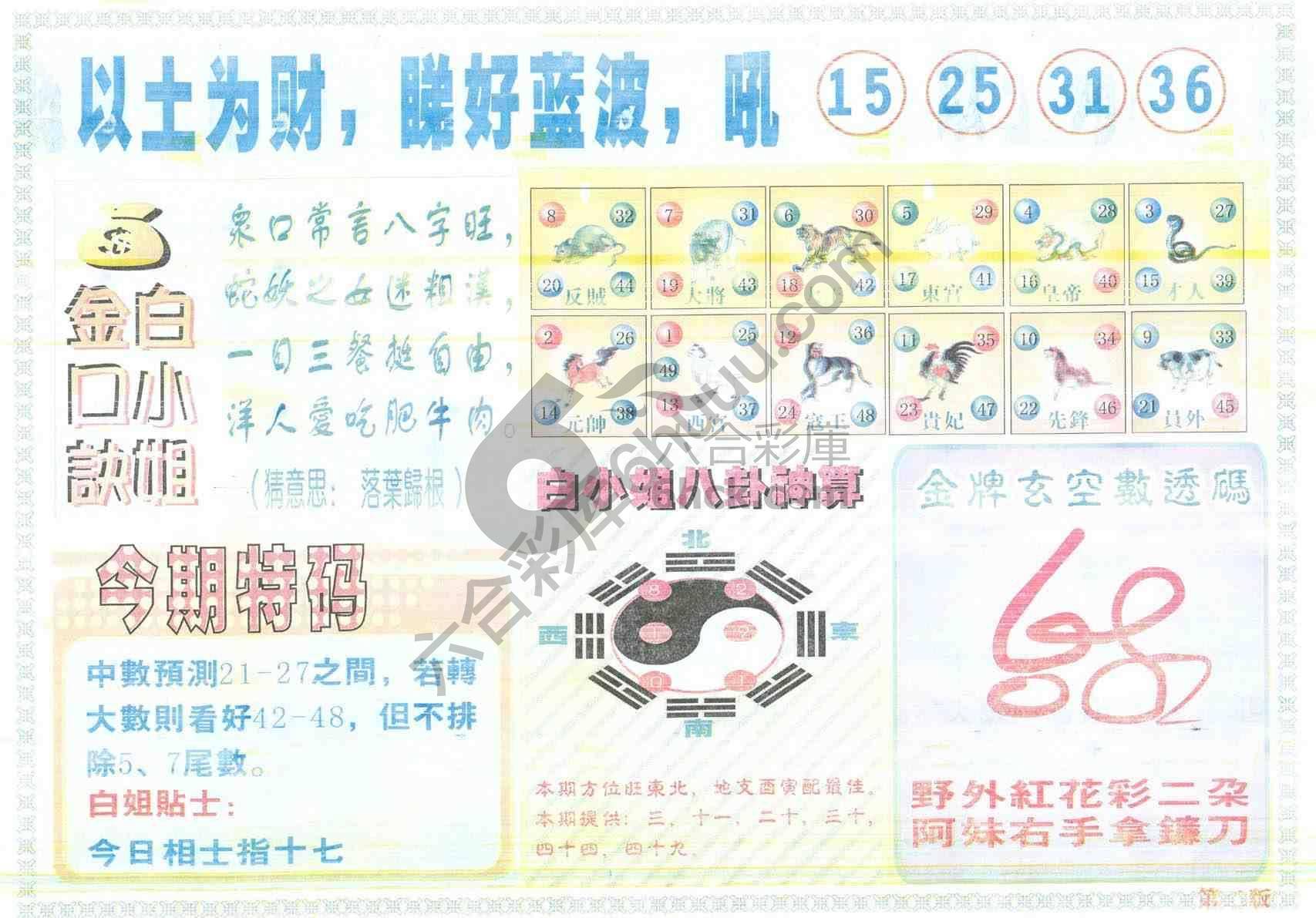 白姐内幕