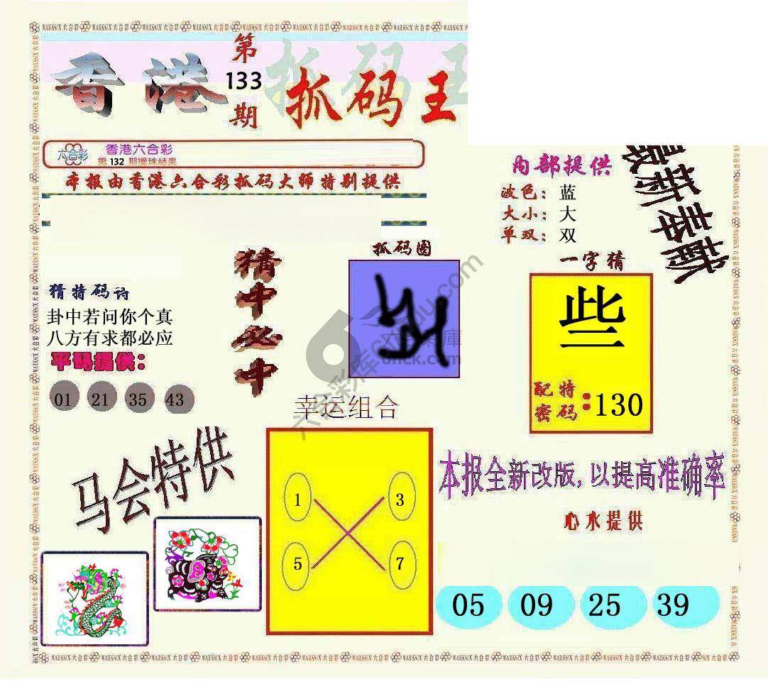 新抓码王
