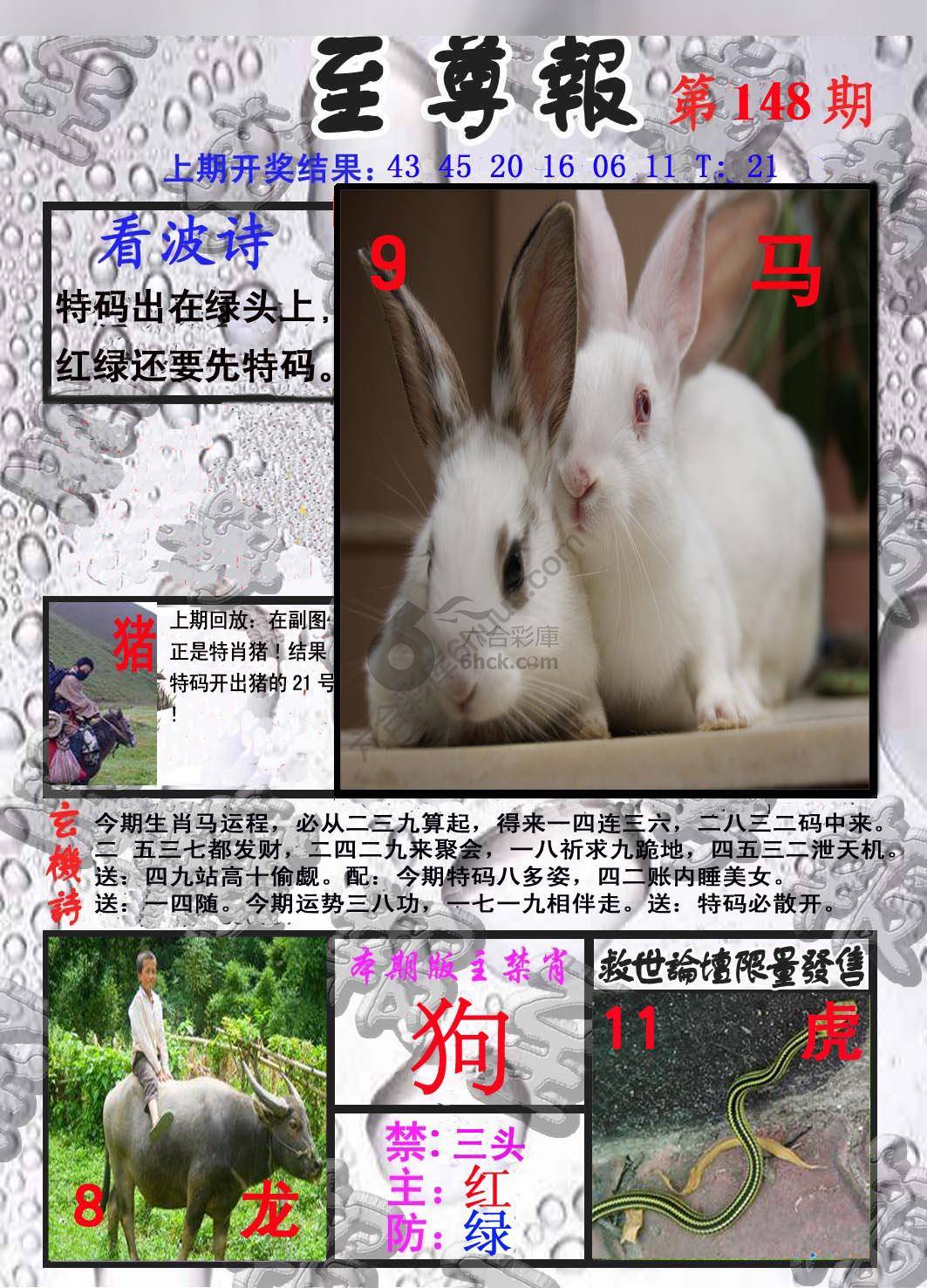 至尊报