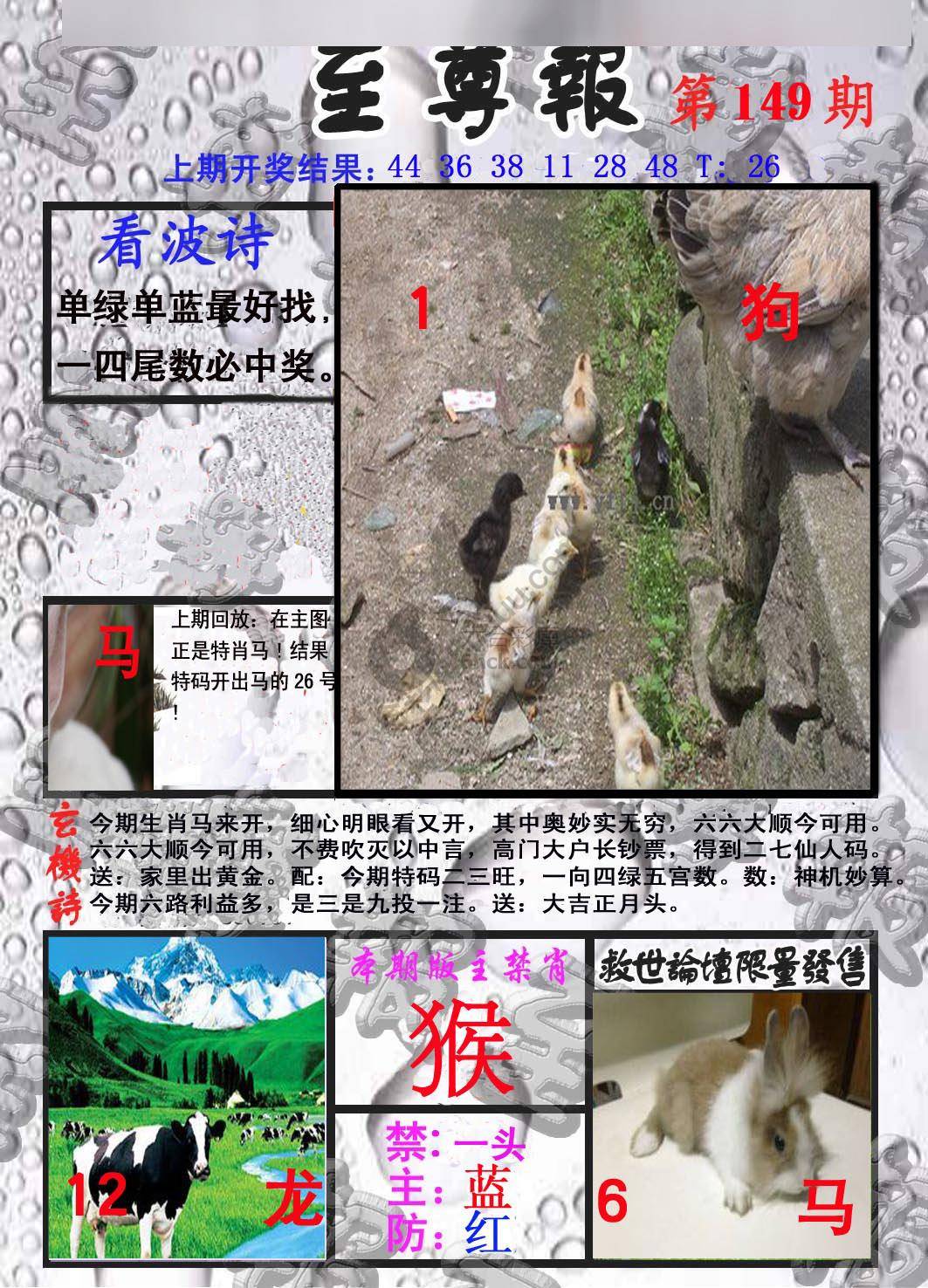 至尊报