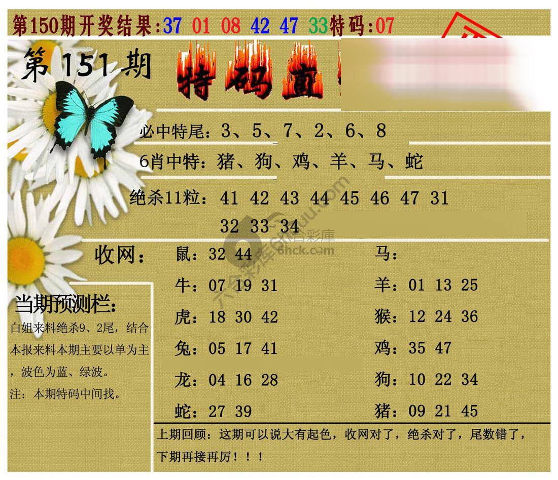 特码直通车