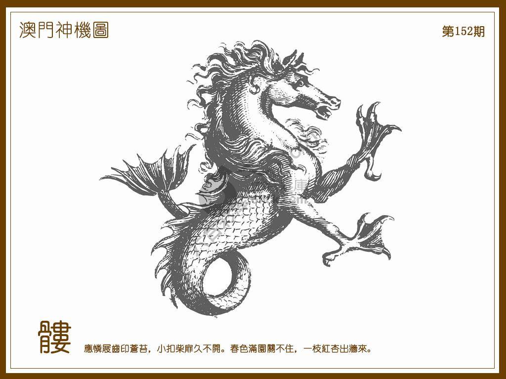 澳门神机图
