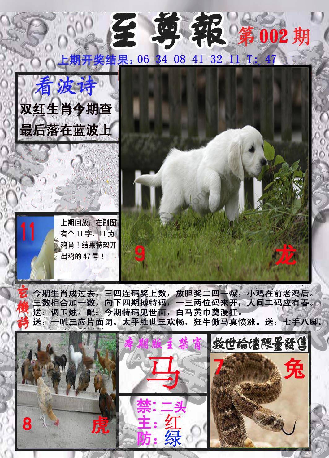 至尊报