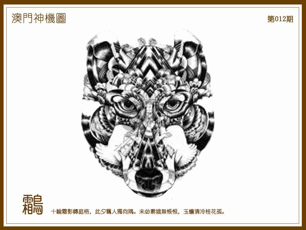 澳门神机图