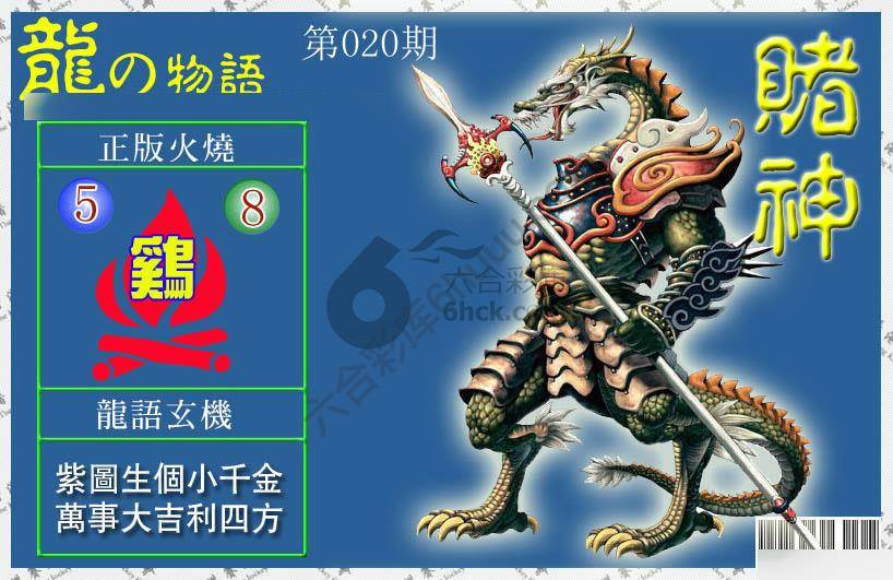 赌神龙报