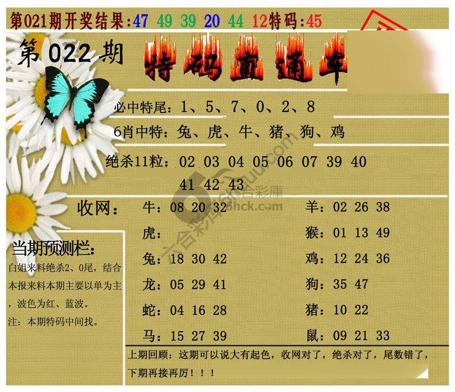 特码直通车
