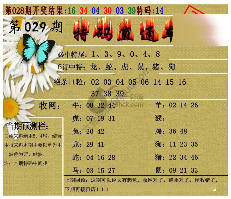 特码直通车