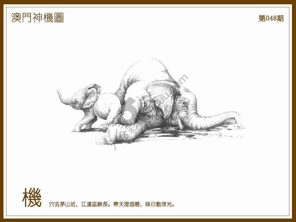澳门神机图