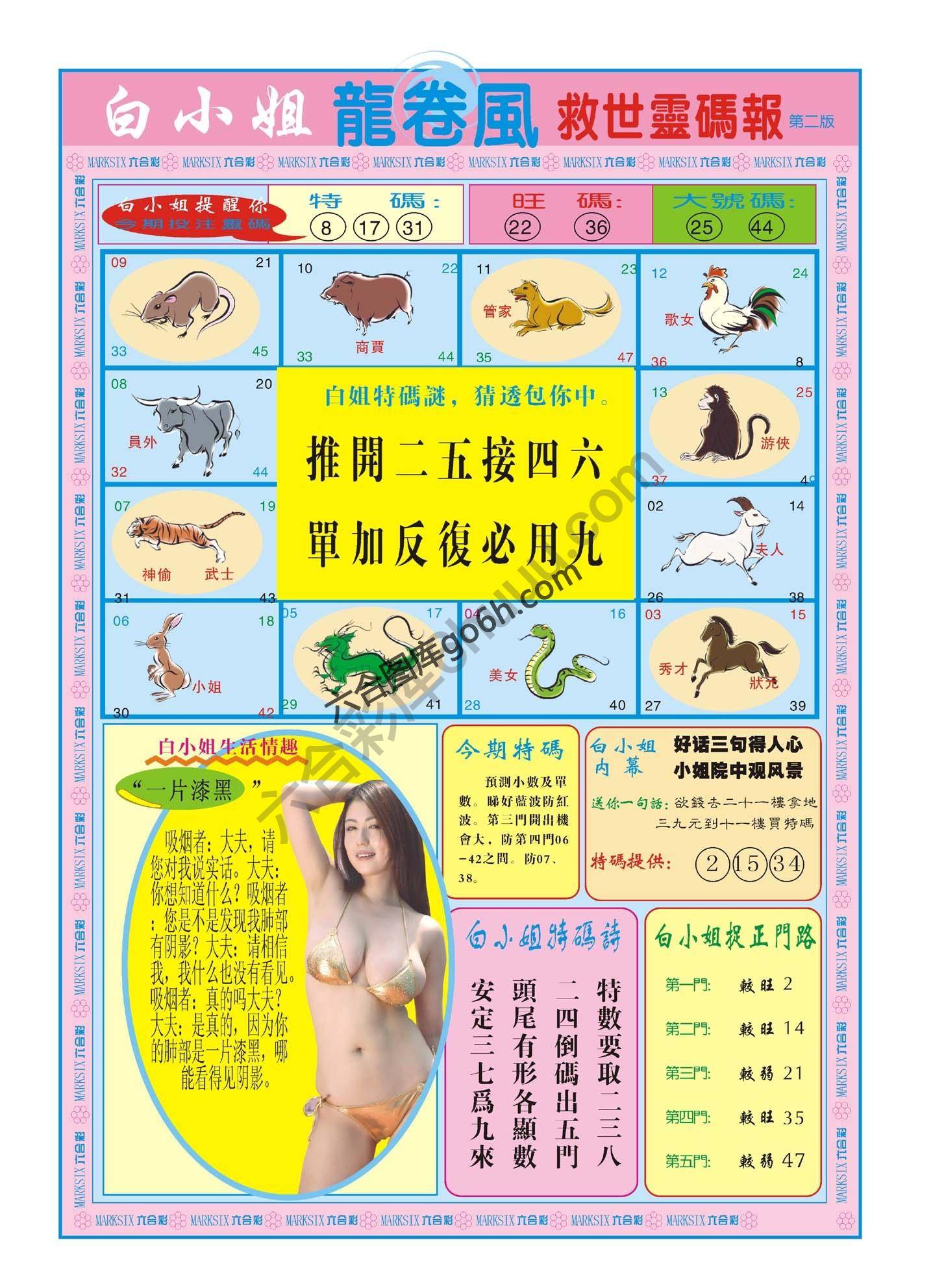 白小姐救世灵码报
