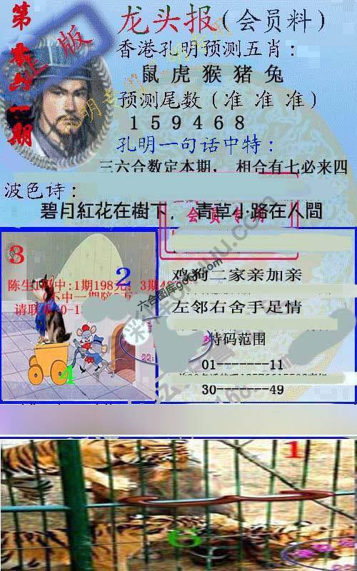 龙头报