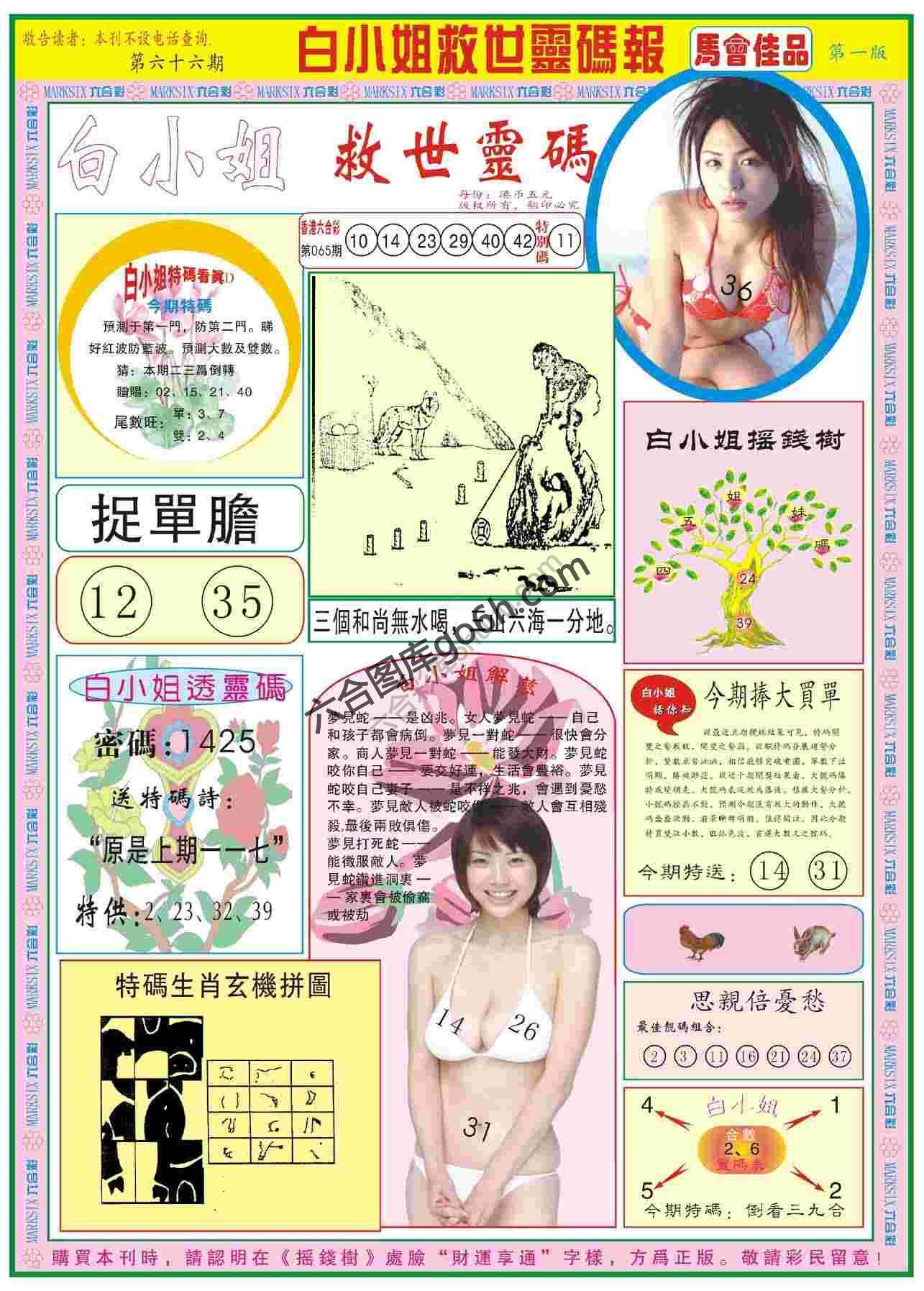 白小姐救世灵码报