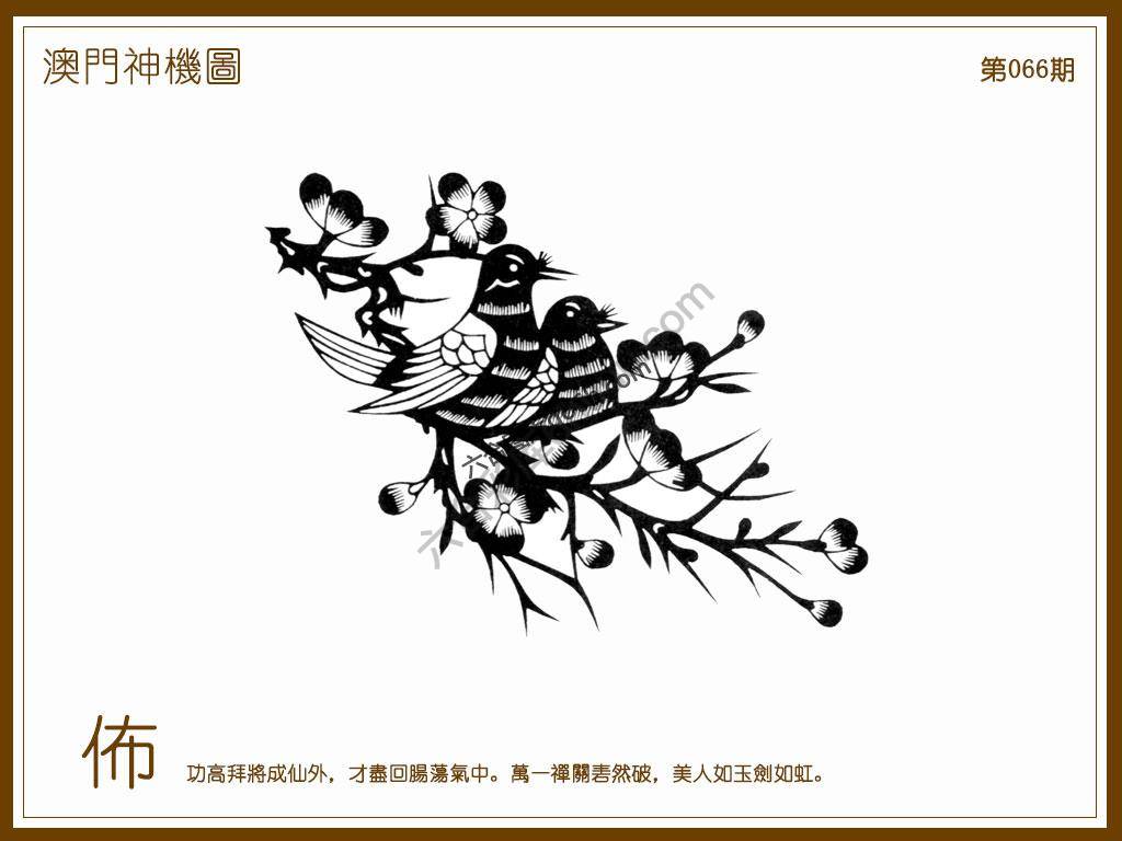 澳门神机图