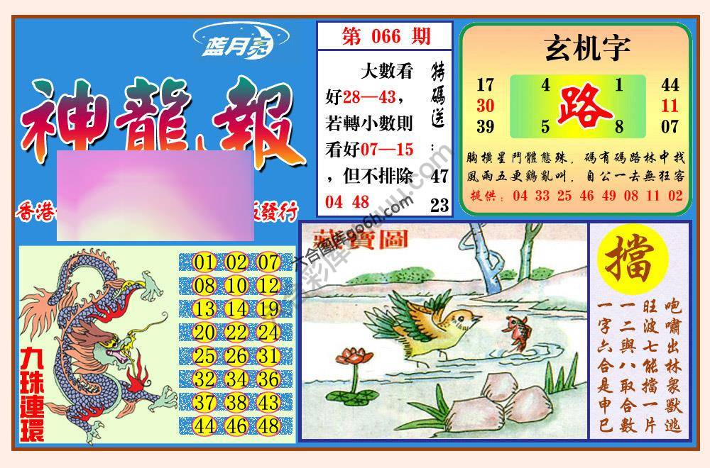 蓝月亮神龙报