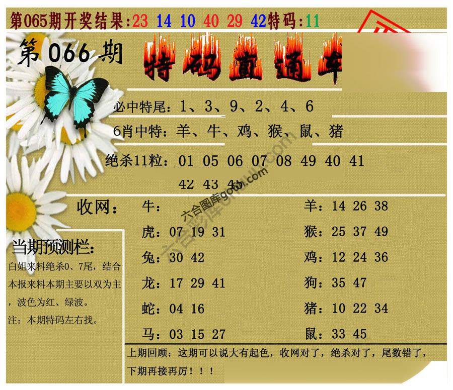 特码直通车