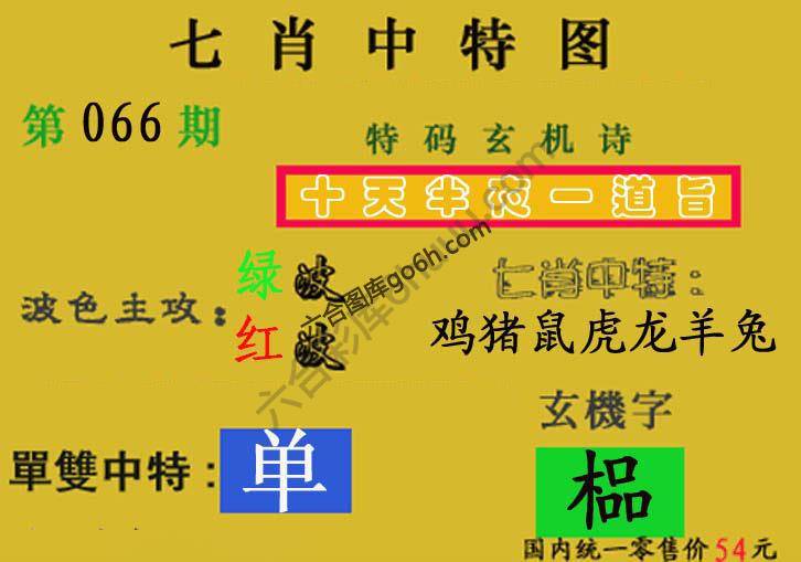 七肖中特图