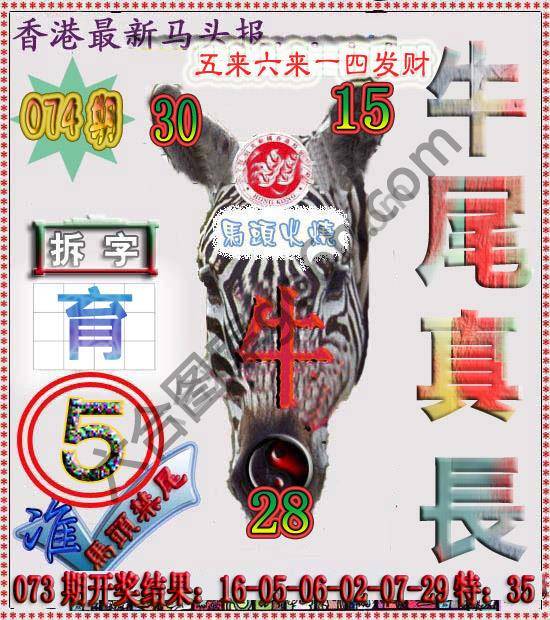 香港马头报