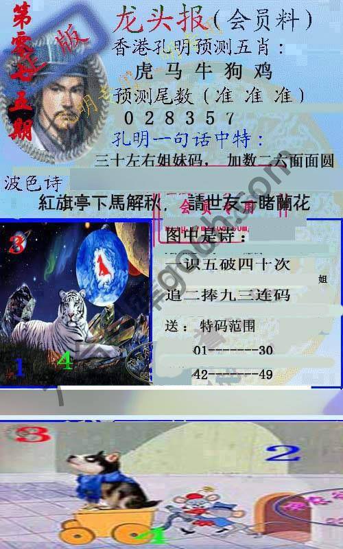 龙头报