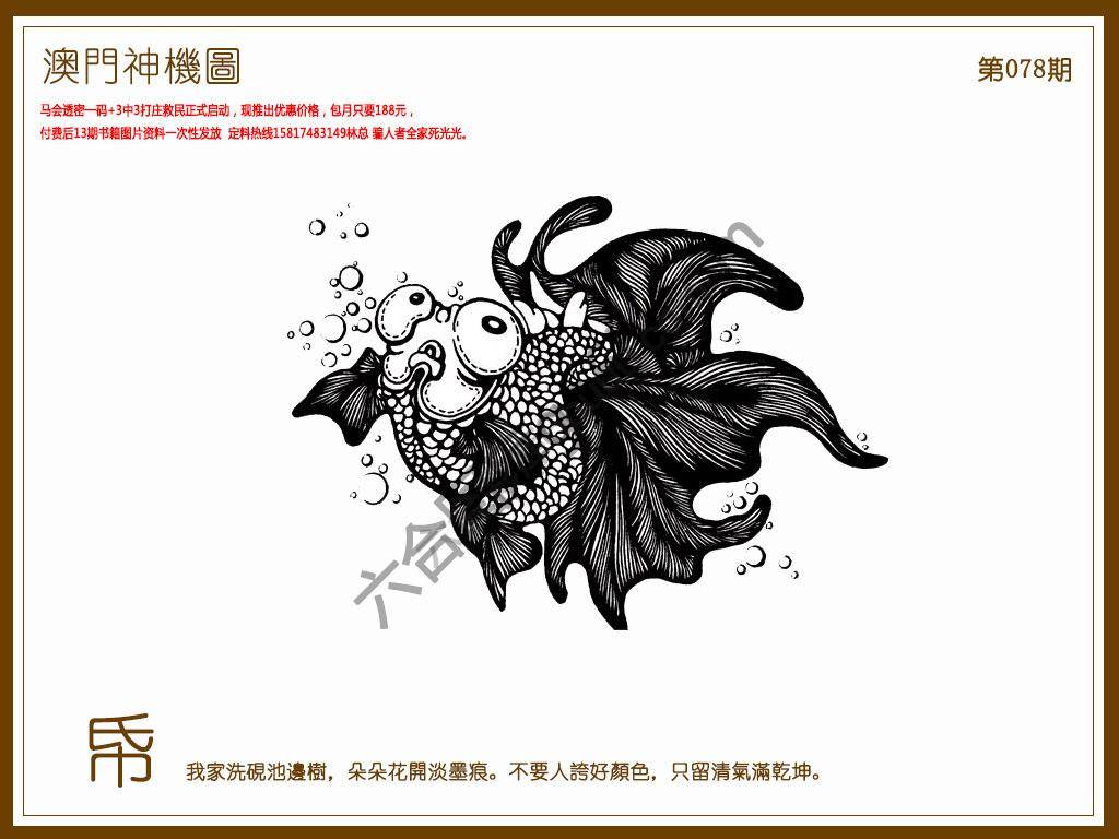澳门神机图