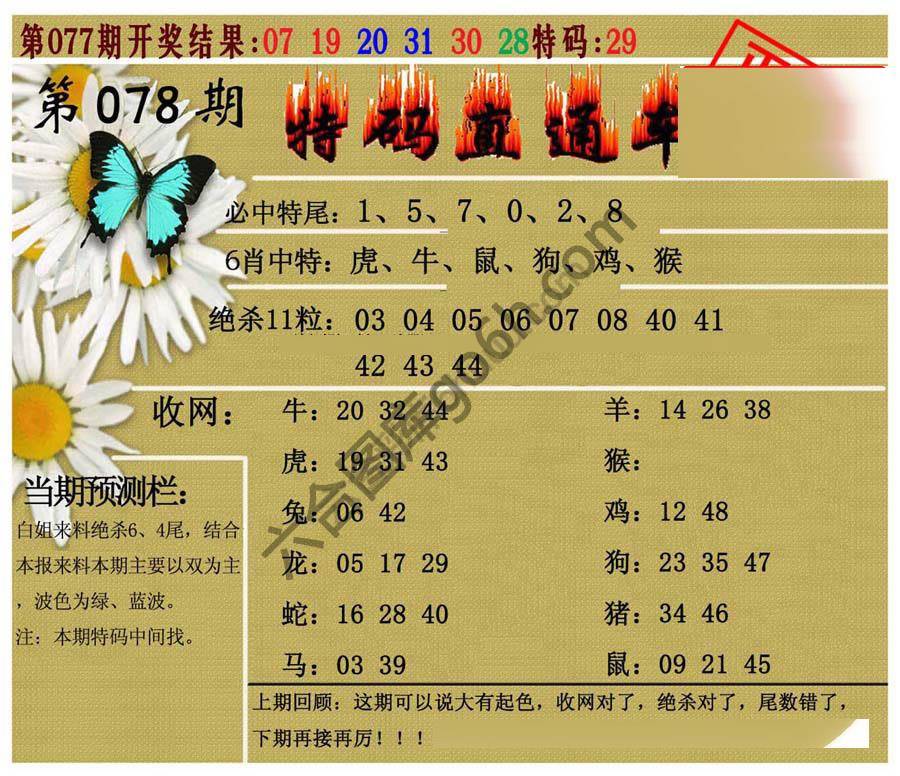 特码直通车