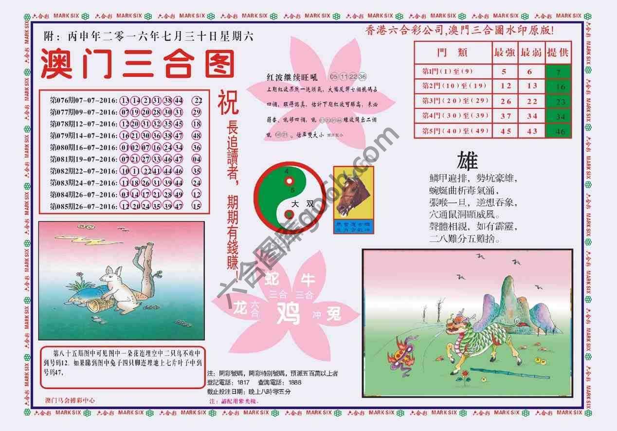 澳门三合图