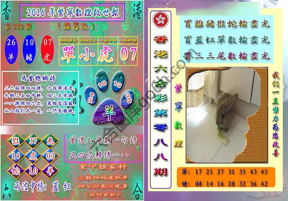 数理救世报