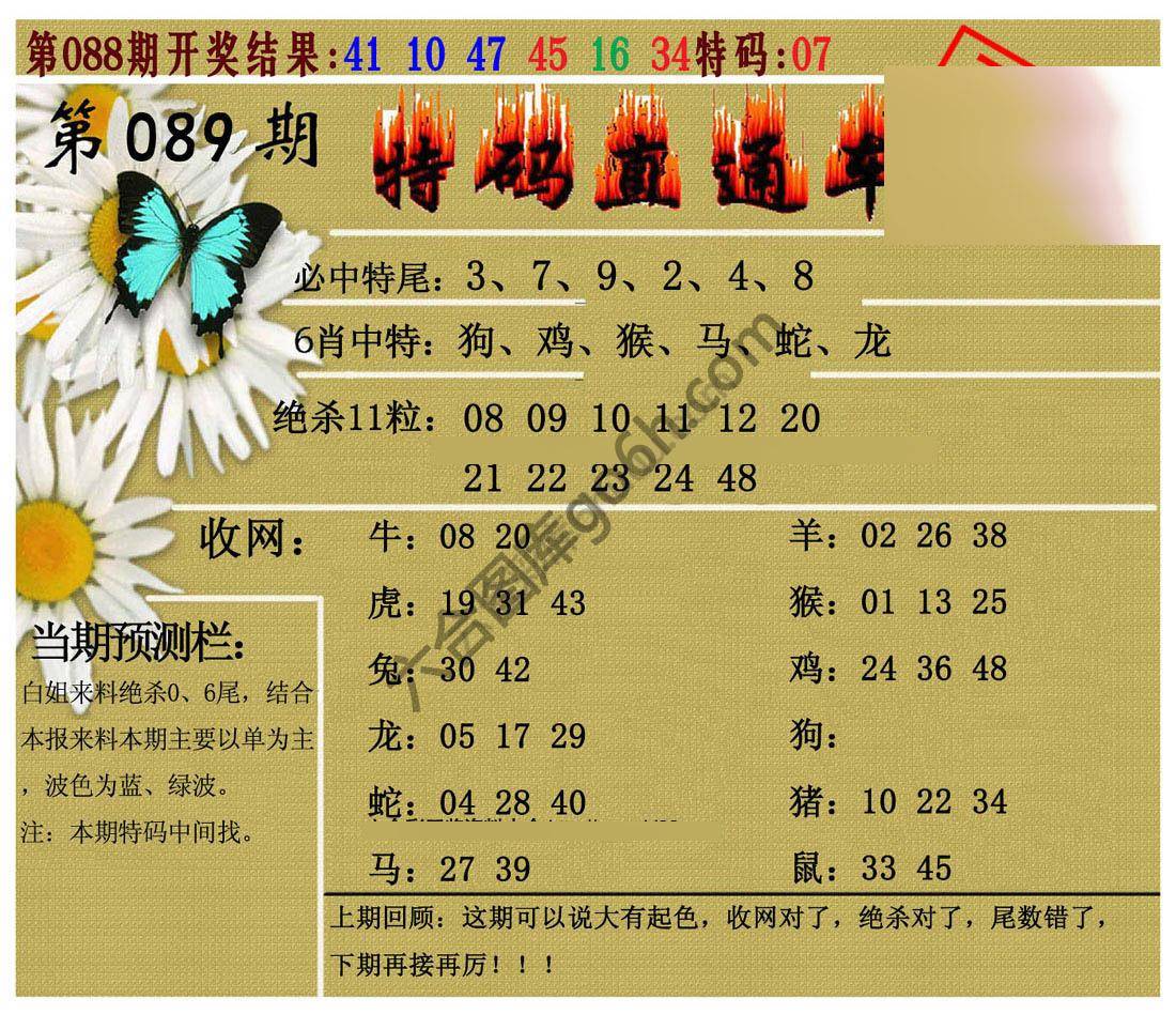 特码直通车