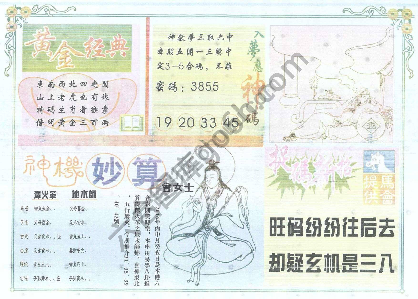 老版曾女士