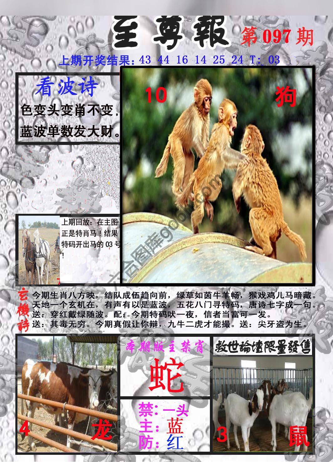至尊报