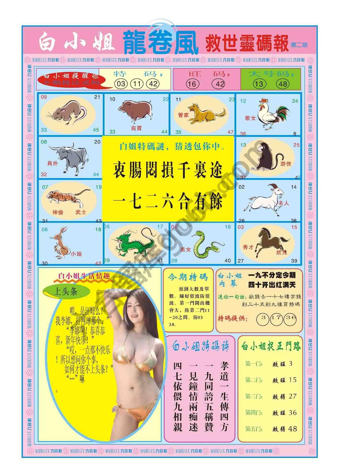 白小姐救世灵码报