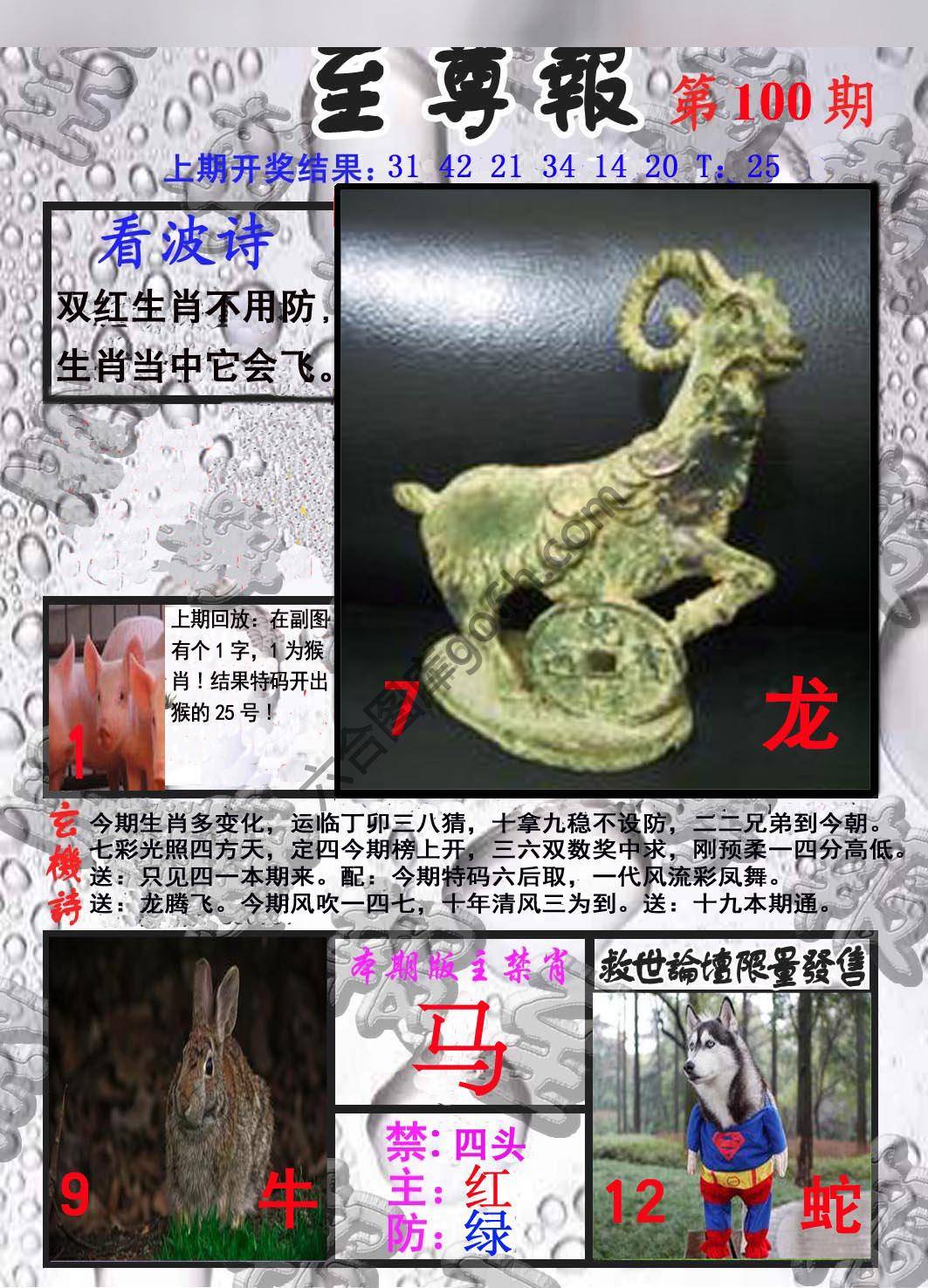 至尊报