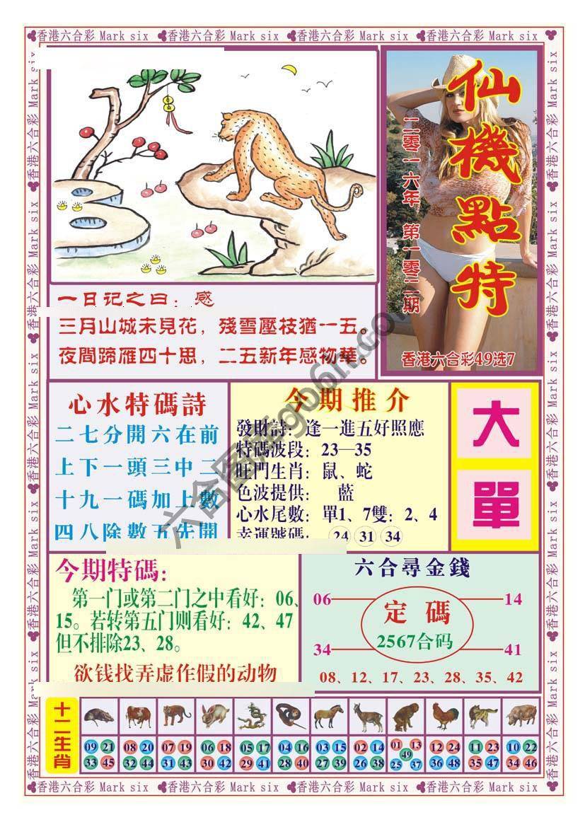仙机点特