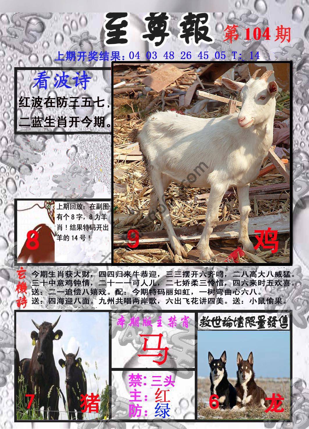 至尊报