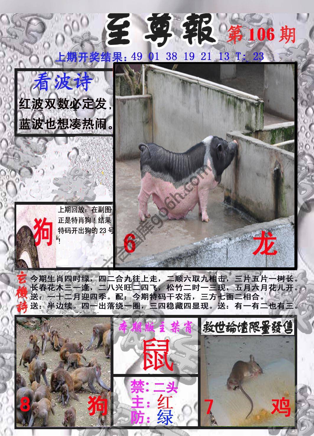 至尊报
