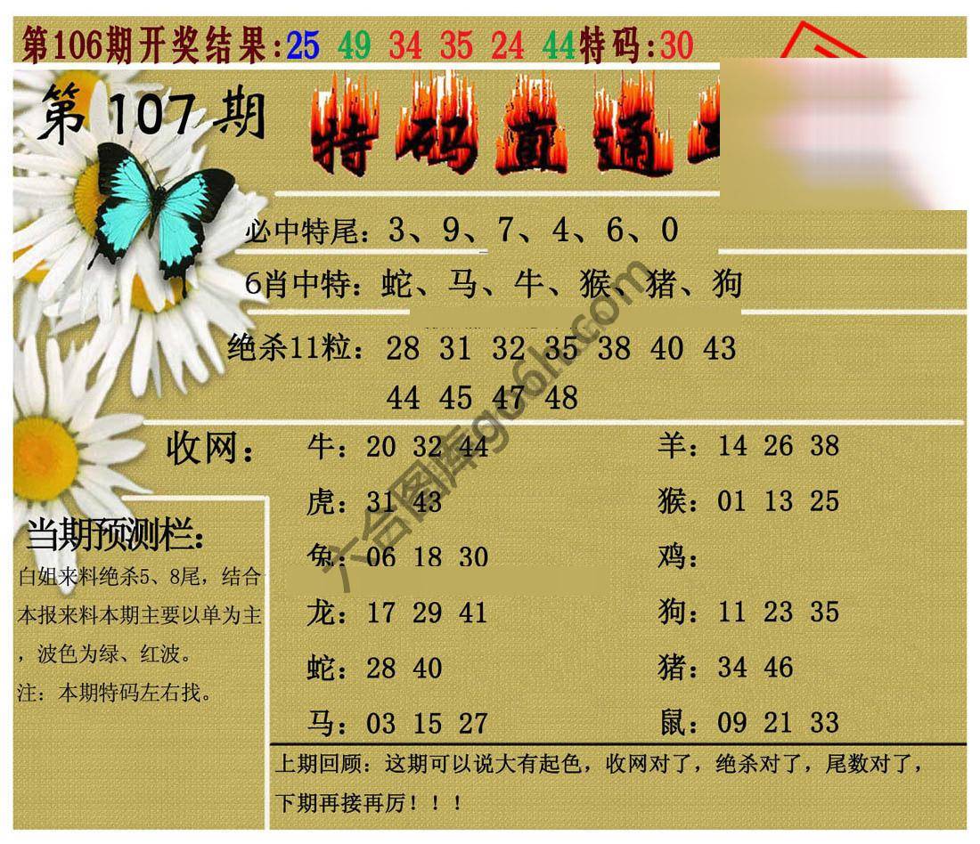特码直通车