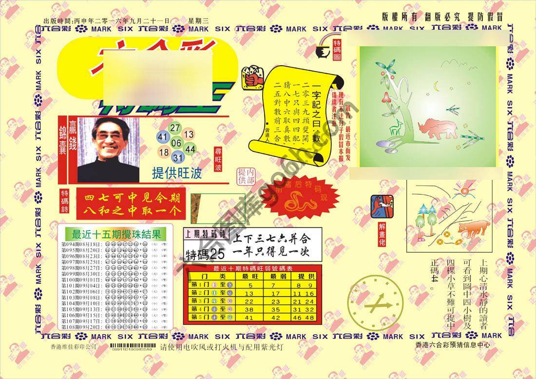 特码王
